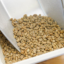 Load image into Gallery viewer, Honey Sidamo - Buncho | ETHIOPIA | Seasonal | 227g