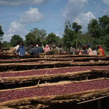 Load image into Gallery viewer, Honey Sidamo - Buncho | ETHIOPIA | Seasonal | 227g
