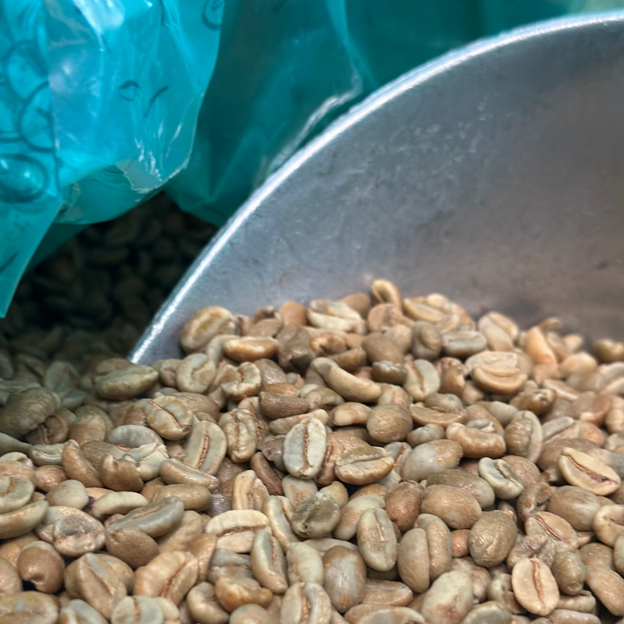 Finca MAS Geisha コーヒー 豆200gコロンビア産 Geisha | Natural | Finca Las Brisas-Colombia | 200g – The Kop